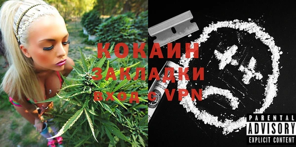 прущий лед Алзамай