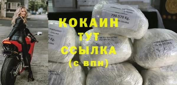 прущий лед Алзамай