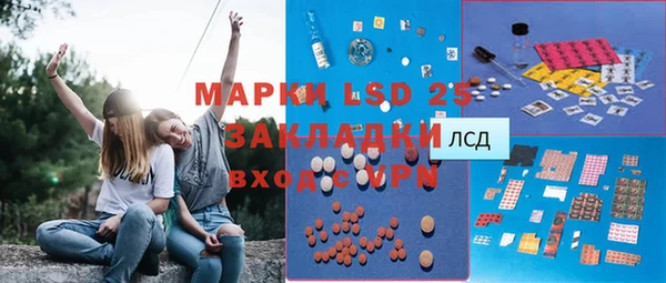 прущий лед Алзамай