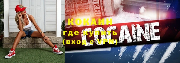 прущий лед Алзамай