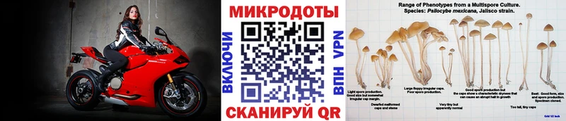 Купить где  Кандалакша  Галлюциногенные грибы Magic Shrooms 
